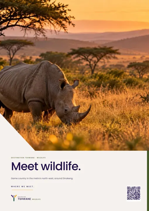Poster · Meet wildlife. — Destination Tshwane application artwork