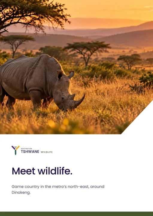 Experience card · Wildlife — Destination Tshwane application artwork